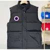 Дизайнер Down CG Gilets CG Bodywarmer Зимний теплый канадский причинный теплый жилет ruff Мужчины Зимние жилет