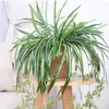 Decorative Flowers 2pcs Flower Basket Artificial Trailing Grass Fake Climbing Plants Outside Greenery Hanging Ferns Wall Decor Simulation