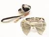 Modedesigner Exquisites Hundehalsband-Leine-Set mit Schleife, Haustierhalsband für kleine und mittelgroße Hunde, luxuriöses Geschenk, Hundeleine9633599