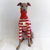 Dog Apparel High Collar Stripe Italian Little Lingti Whitbit Two Legged Clothes Pure Cotton Elastic Bellington Pet