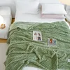 Couverture à rayures à carreaux, couverture douce et moelleuse, couvre-lit en molleton de corail sur le lit pour adultes et enfants, pour animaux de compagnie, HomeTextile 231229