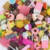 100 Stuks Lucky Bag Unieke Leuke Gesimuleerde Mini Koekjes Dierenvoer Hars Bedels Hangers Voor DIY Mode-sieraden Maken C2627057465