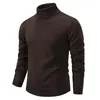 Mannen Truien 2024 Mannen Casual Slim Fit Basic Coltrui Gebreide Trui Hoge Kraag Trui Mannelijke Dubbele Herfst Winter Tops