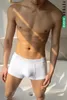 Caleçons ICOO3Pcs/Lot Mâle Garçon Sport Basketball Hommes Pur Coton Simple Taille Boyshort Sous-Vêtements Boxers Shorts Culottes