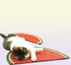 Chat chaton griffoir tapis tapis Sisal animaux griffoir tapis de couchage jouet griffes soins chats meubles produits fournisseurs 220616064297