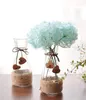 Garrafas Zakka Pastoral Moderno Estilo Minimalista de Flores Artesanais Criativas em Vaso de Vidro Flor Hidropônica