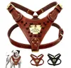 Arnês de couro personalizado para cães, colete com pontas cravejadas, identificação personalizada para cães médios e grandes, pitbull bulldog9015219