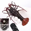 Remote Control Animal Realistic Crayfish RC Electric Lobster Vehicle Car Pet Shrimp Model Halloween Pranks Joke Toys 231229