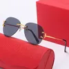 Fashion Designer Pilot Sunglasses for Men Womens Mirror Print Oversized Big Lens Brown Black Gold Frame Man Polarized UV Protection Acetate2