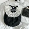 Roupas de vestuário de cachorro verão elegante gato cachorrinho preto vestido de renda para pequena princesa pet saia