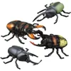 لعبة Beetle Beetle الكهربائية مع التحكم عن بعد بطارية مدعومة بالبطارية واقعية حشرة هدية عيد ميلاد للأطفال RC Animal 231229