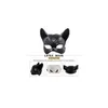 Máscaras de festa máscara coelho diversão cabeça conjunto halloween catwoman meia face látex gc2477 gota entrega casa jardim festivo suprimentos dhwuv