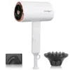 Dryers Professional Hair Dryer High Speed Hairdryer Temeperature Control Salon Dryer Hot Cold Wind Negative Ionic Blow Dryer