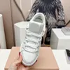 Classic Little White Shoes Designer Platform Casual Shoes Vintage Sneakers Calfskin Embossed Letter Leather Canvas Shoes Patched Nylon Trainers Platform Sneaker