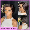 Malaysian Natural Black 100% Raw Remy Human Hair Pixie Cut 13X1 Lace Wig Adjustable Peruvian Indian Malaysian