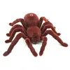 RC animal brinquedo carro infravermelho controle remoto aranha modelo de simulação elétrica crawl inseto brinquedo complicado spoof presente para criança 231229