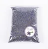 Botões de lavanda perfumados flores secas orgânicas inteiras ultra azuis grau 1 Pound8004334