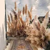 Fleurs décoratives 10 PCS Naturel Pampas Herbe Décor Sec Grand Faux Pompa Floral Grand Artificiel Pompous Pour Sol Vase Remplisseur Maison Boho