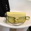 Tasarımcı Çanta Kadınların Yeni Basit Küçük Small Square Crossbody Bag Handheld Ladies Moda Çantaları