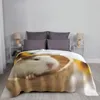 Couvertures Cochon d'Inde Couverture Polaire Automne/Hiver Animal Mignon Multifonction Ultra-Doux Pour Canapé Couvre-lits En Plein Air