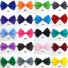 Einstellbare Haustier Hund Fliege Hals Zubehör Haustier Katze Halskette Halsband Welpen Helle Farbe Haustier bowknot fliege für hochzeit Party