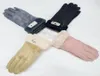 le concepteur de haute qualité du commerce extérieur nouveaux gants d'équitation imperméables pour hommes et gants de moto de remise en forme thermique en velours23126510