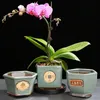 Creative Ceramic Vintage Flower Pot Prosty soczysty pojemnik na rośliny Zielone donice Bonsai garnki Flowerpot Dekoracja domu 231228