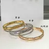 Designer luxe 18k gouden Van Clover-armband met fonkelende kristallen en diamanten Ultiem symbool van liefde en bescherming, een perfect cadeau voor dames en meisjes Rmzz