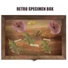 Cadres Vintage Spécimen Boîte En Bois Photo Fleurs Séchées Papillons Boîtes D'affichage Anti-poussière