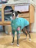 Vêtements pour chiens Vêtements confortables Greyhound Hiver Épais Matelassé Coton Gilet Double Thermique Forte