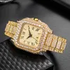 Kwaliteit Hoogwaardig volledig Ice out VVS moissanite Diamond pass diamanttester Automatisch horloge voor dames