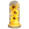 Decorative Flowers Artificial Sunflower In Glass Dome With Led Light Strip Enchanted Lamp Anniversary Romantic Gifts For Women