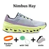 Designer Kvinnor Män Running Shoes Sneakers Aloe Ash Black Orange Rust Red Storm Blue White Workout och Cross Trainnings Shoe Lightweight Runner Swift Sneaker 36-45