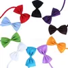 Einstellbare Haustier Hund Fliege Hals Zubehör Haustier Katze Halskette Halsband Welpen Helle Farbe Haustier bowknot fliege für hochzeit Party