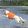 犬のアパレルライフベスト防水夏の安全服スイミングジャケット大犬用反射サーフィン保護