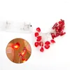 Strings 2M LED Red Heart String Light Battery Powered Valentine's Day Lamp Garland Wedding Party Holiday Home Decor Outdoor