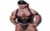 Männer Sexy Kunstleder Nachtclub Kostüme Erotische Dessous Set Homosexuell Fetisch Unterwäsche Männlich Sex Spiel Flirt Kleidung T2007163771204