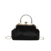 Hairy Clasp Shell 2024 Autumn New Western Style Chain Single Shoulder Diagonal Straddle Bag