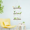 Wall Hanging Planter Terrarium 3 Tiered Plant Propagation Stations with 15 Clear Test Tubes and Wooden Stand Retro Mini 231228