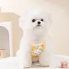 Cão vestuário amarelo roupas verão filhote de cachorro suspender bonito dos desenhos animados teddy respirável colete do que urso dois pés xs-xl