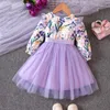 Vestidos de niña 2023 Otoño Ropa para niños Manga larga Patchwork Estampado floral Vestido de fiesta de princesa de malla para niñas de 1 a 6 años 231228