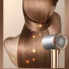 Sèche-cheveux Lumière bleue Sèche-cheveux Anion Galvanoplastie Sèche-cheveux Soins des cheveux Vent QuickDrying Salon de coiffure Ménage HighPower Sèche-cheveux