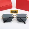 Fashion Designer Zonnebril Luxe Vierkante Stijl Anti Blauw Effen Bril Merk Carti Eyewear Frame Brillen Schildpad Transparant Acetat