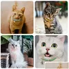 Dog Collars Leashes Pu Leather Traction Rope Pet Collar Pets Supplies Diy Japanese Bell Cat Bells Wholesale Dogs Accessories Drop Dhgkx