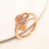 Luxury Cubic Zirconia Ring Rose Gold Plated Lock Charms Ring For Women Vintage Finger Ring Wedding Party Brud Costyme Jewelry259e