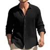 Mäns T -skjortor Spring och Autumn Solid Color Långärmad skjorta Hem Fritid Fashion Flip Collar Tee för män