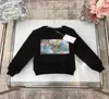 Maglioni per bambini vestiti per bambini Ragazze ragazzi vestono pullover con lettera Tiger maglione casual primavera autunno e inverno manica lunga caldo Co7710729