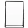 Frames Pressed Flower Frame Po Display Case Glass Desktop Specimen Picture Simple