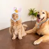 Trajes de gato bonés chapéu carnaval animal de estimação e adorável cachorrinho headwear halloween cão traje dos desenhos animados