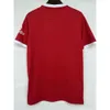 Player version S-4XL 24 25 away soccer jerseys 2024 2025 kit uniform A.BECKER football shirt